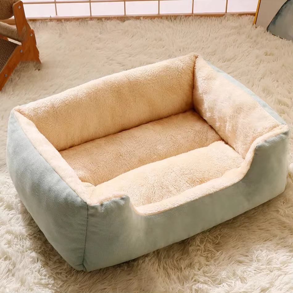 Bed for Cats Pet Products Cushions Kitten Goods Accessories Dog All Houses Supplies Things Accessory Habitats Basket House Beds