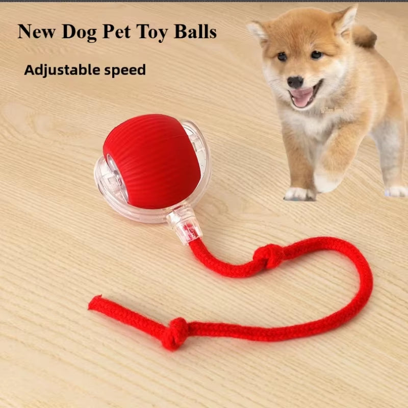 Rechargeable Smart Pet Interactive Automatic Rolling Ball Toy Cats Pet Products New Electric Dog Ball Toy Simulated Tail for Cat