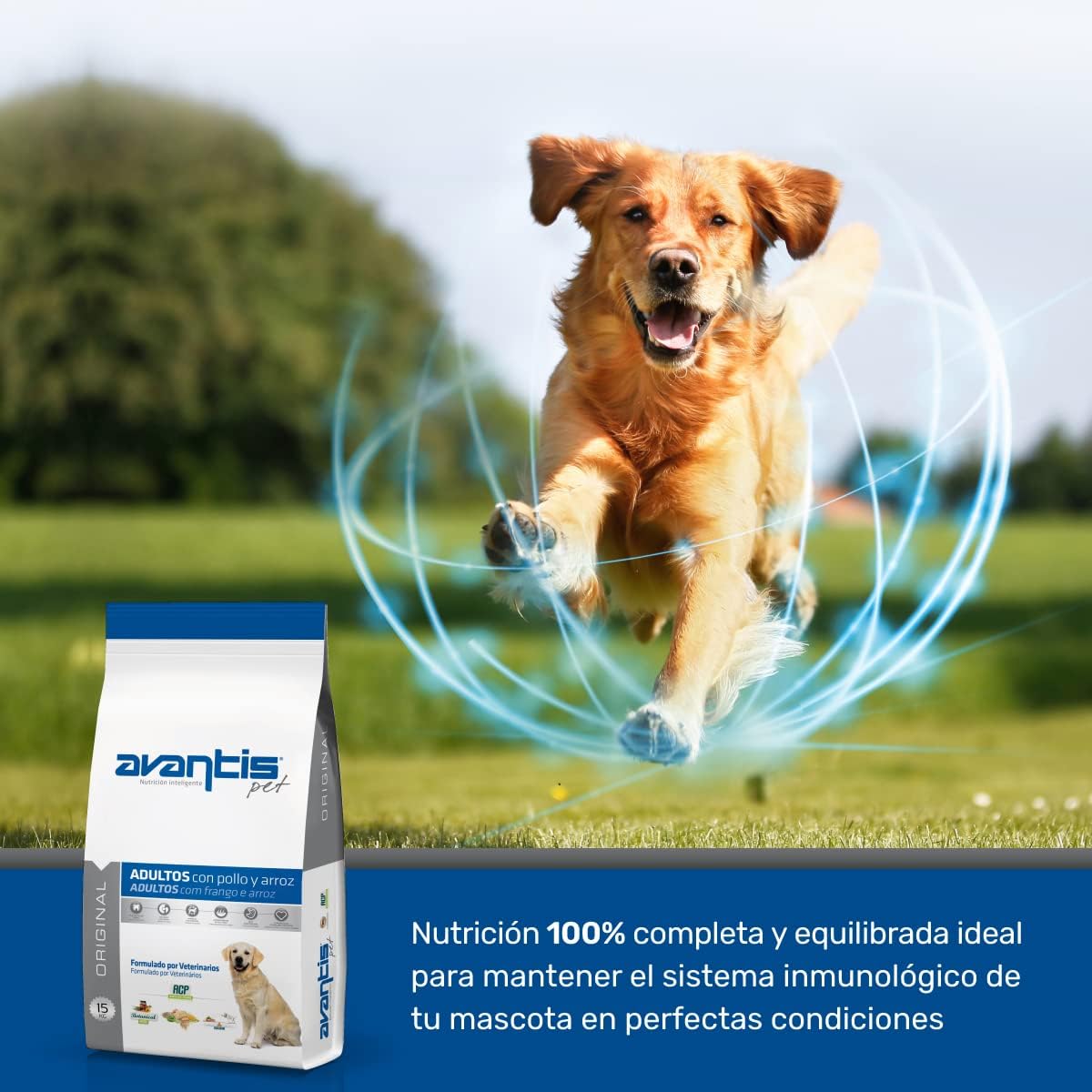 Pienso Para Perros Adultos De Razas Medianas Y Grandes - 15 Kg - Comida 100% Completa Y Equilibrada - Altamente Nutricional Con Pollo Y Arroz