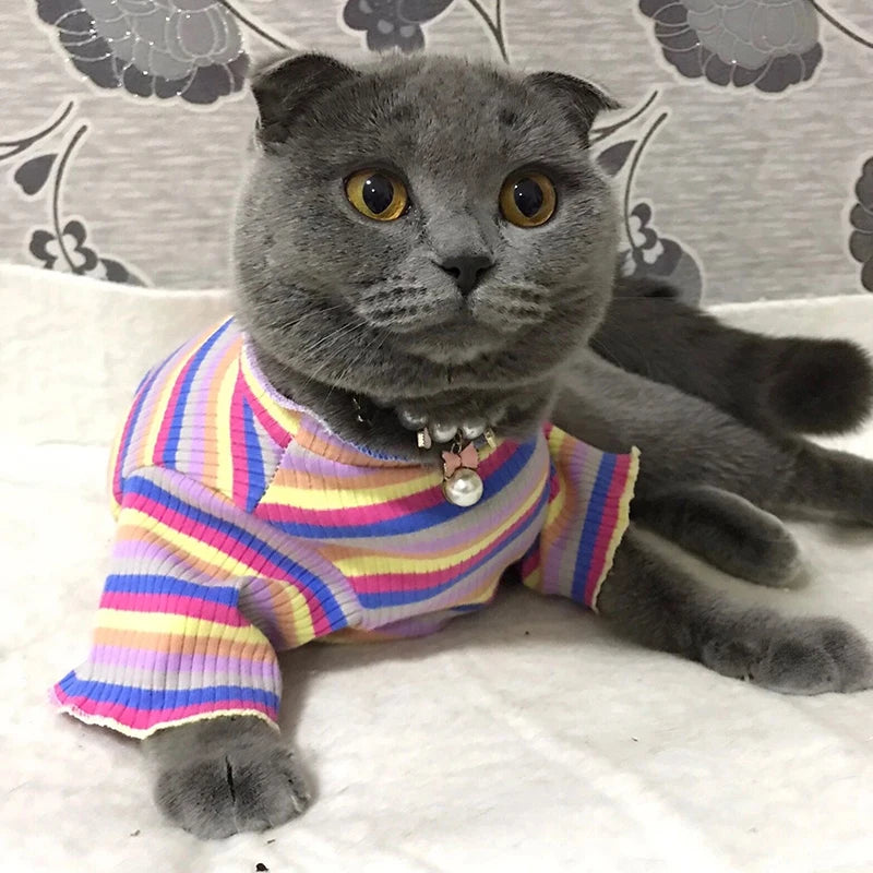 Colorful Stripe Sphynx Cat Vest Shirt for Small Cats Katten Kedi Cotton Puppy Dog Pet Clothes Mascotas Clothing Ropa Para Gatos