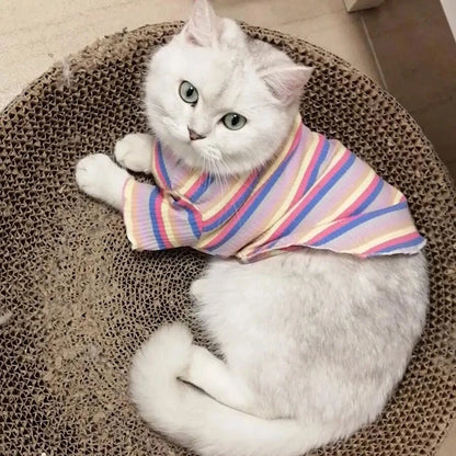 Colorful Stripe Sphynx Cat Vest Shirt for Small Cats Katten Kedi Cotton Puppy Dog Pet Clothes Mascotas Clothing Ropa Para Gatos