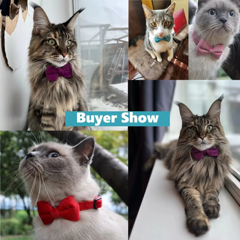 Velvet Bowknot Cat Collar Adjustable Safety Buckle Kitten Puppy Bow Tie Solid Color Cats Collar with Bell Pets Accessories