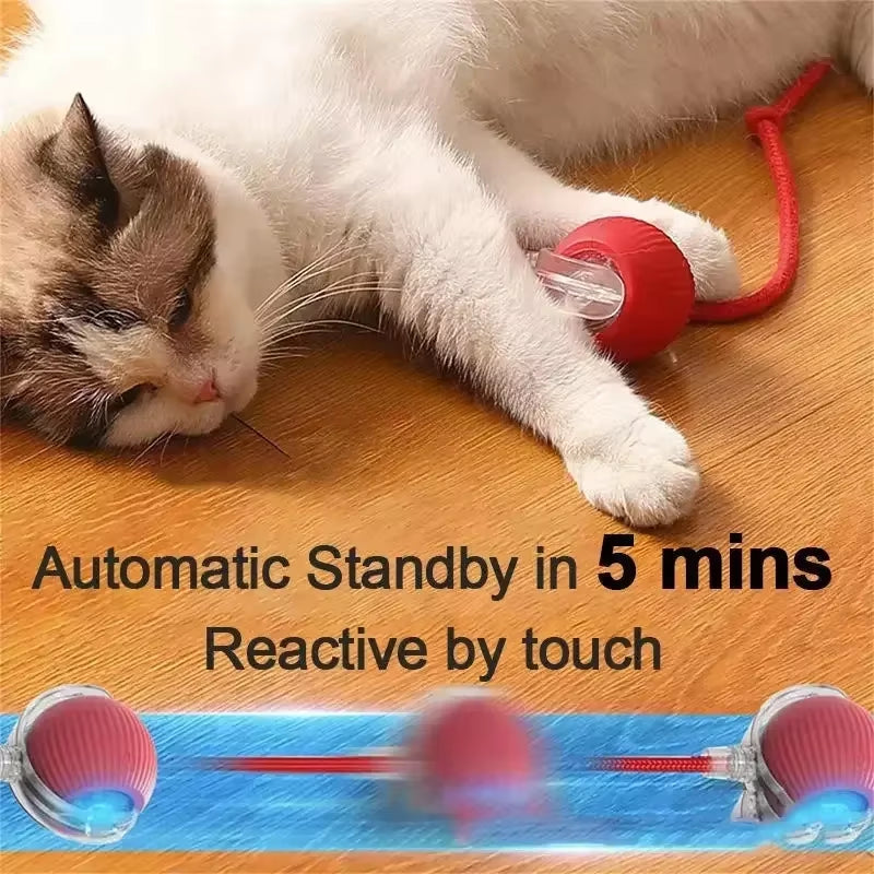 Rechargeable Smart Pet Interactive Automatic Rolling Ball Toy Cats Pet Products New Electric Dog Ball Toy Simulated Tail for Cat