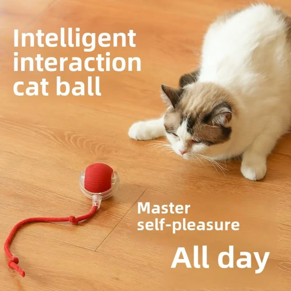 Rechargeable Smart Pet Interactive Automatic Rolling Ball Toy Cats Pet Products New Electric Dog Ball Toy Simulated Tail for Cat